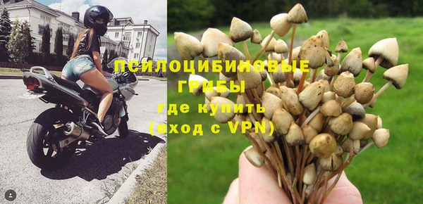 мескалин Бородино
