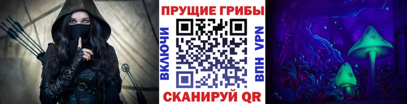 закладки  Кимры  Галлюциногенные грибы MAGIC MUSHROOMS 