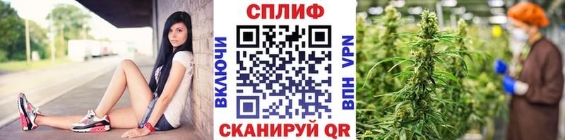 Бошки марихуана конопля  купить наркотики цена  ОМГ ОМГ ссылки  Кимры 